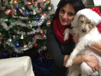 Natale in centro a Perugia, Emanuela Mori, sì, ma non per tutti