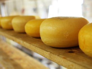 Cheese Fest per una Perugia al formaggio, due giorni al sapore di cacio
