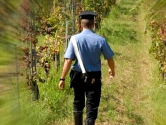 Caporalato, operazione Agri Jobs Carabinieri arrestano straniero in Umbria