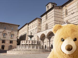 Rasty, il simpatico orso che si aggira per il centro di Perugia