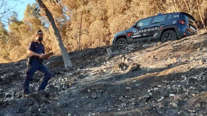 Incendi boschi, Forestali denunciano 10 piromani e ne hanno arrestato uno