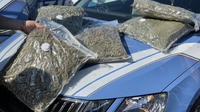 Sequestrati dalla Polizia di Stato oltre 60 Kg di marijuana