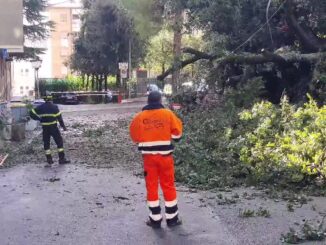 Vento a 160 km/h, decine di alberi caduti e allagamenti in Umbria
