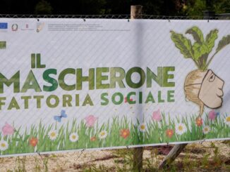 Un'Alba di Rinascita: La Nascita de 'Il Mascherone' e il Respiro Nuovo per l'Agricoltura Sociale a Orvieto