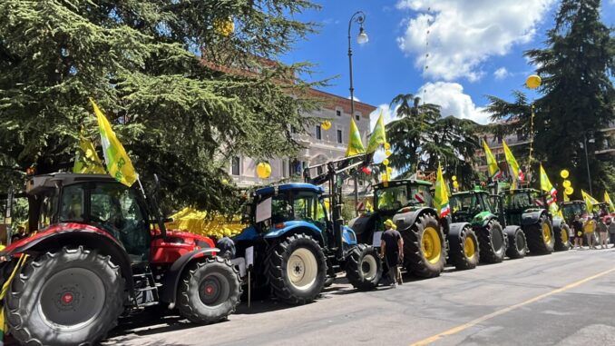 "Basta Cinghiali": Coldiretti mobilita 3000 agricoltori a Perugia